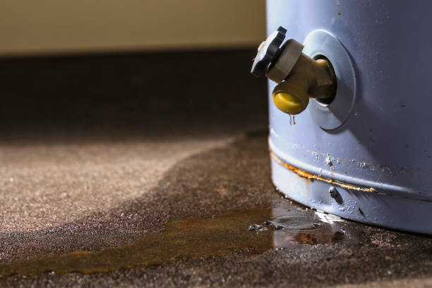 Best Carpet water damage restoration  in Lyman, SC