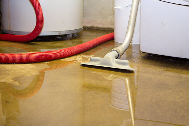 Best Ceiling water damage repair  in Lyman, SC