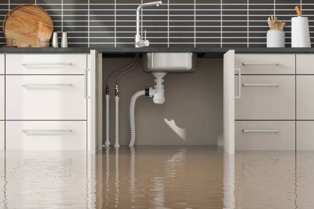Best Carpet water damage restoration  in Lyman, SC