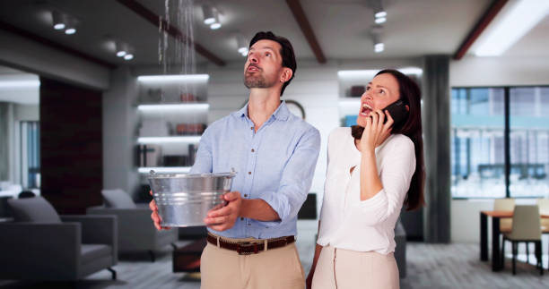 Best Flooded house restoration  in Lyman, SC